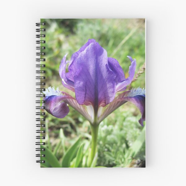 Item preview, Wild Iris designed and sold by Alexander Krishchyunas.