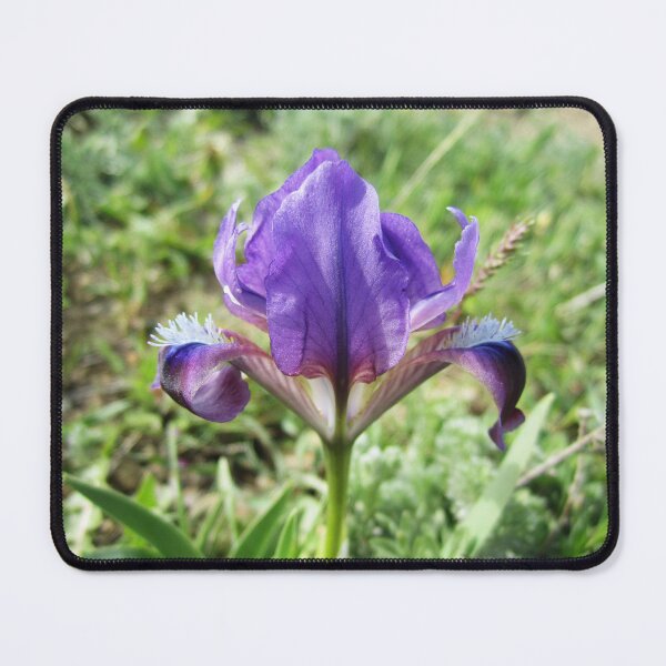 Item preview, Wild Iris designed and sold by Alexander Krishchyunas.