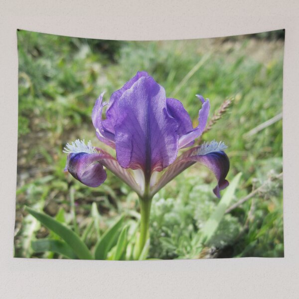 Item preview, Wild Iris designed and sold by Alexander Krishchyunas.