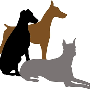 Artwork thumbnail, Doberman (Transparent background) by The Studio Red