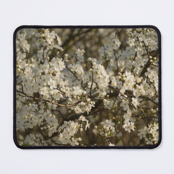 Item preview, Bloom at the Edge of Day designed and sold by Qual by Val P..