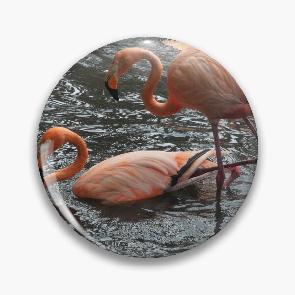 Item preview, Flamingo's Bath Time designed and sold by Malcolm Snook.