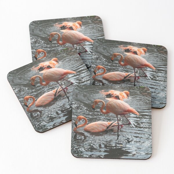 Item preview, Flamingo's Bath Time designed and sold by Malcolm Snook.