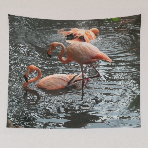 Item preview, Flamingo's Bath Time designed and sold by Malcolm Snook.