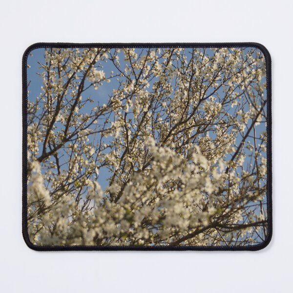Item preview, Golden Stillness designed and sold by Qual by Val P..