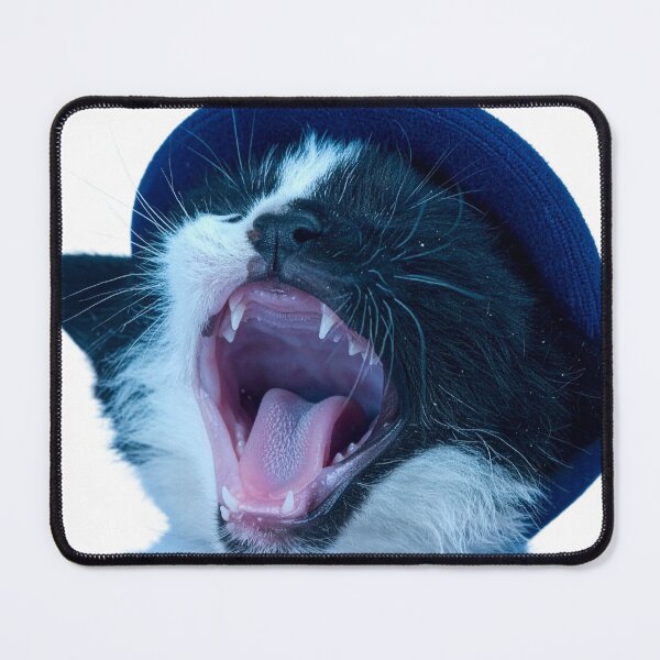 Item preview, Funny Screaming Tuxedo Cat Poster - Yawning Kitten in Blue Hat Sticker - Dramatic Meme Cat Print for Streetwear Apparel and Mugs designed and sold by WildGentlemen.