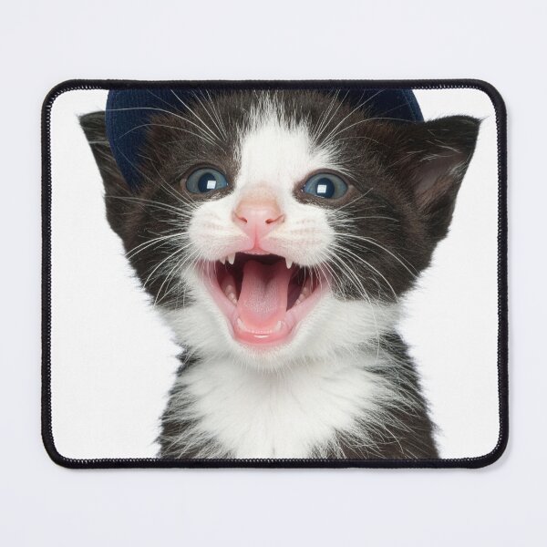 Item preview, Excited Laughing Kitten in Baseball Cap Poster - Sporty Tuxedo Cat Sticker - Hypebeast Pet Print for Gamer Room and T-Shirts designed and sold by WildGentlemen.