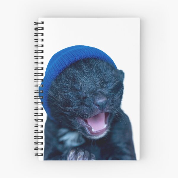 Item preview, Póster de gatito recién nacido diminuto del vacío - Pegatina de gato bebé negro gritando - Retrato hiperrealista de gremlin recién nacido para estética alternativa designed and sold by WildGentlemen.