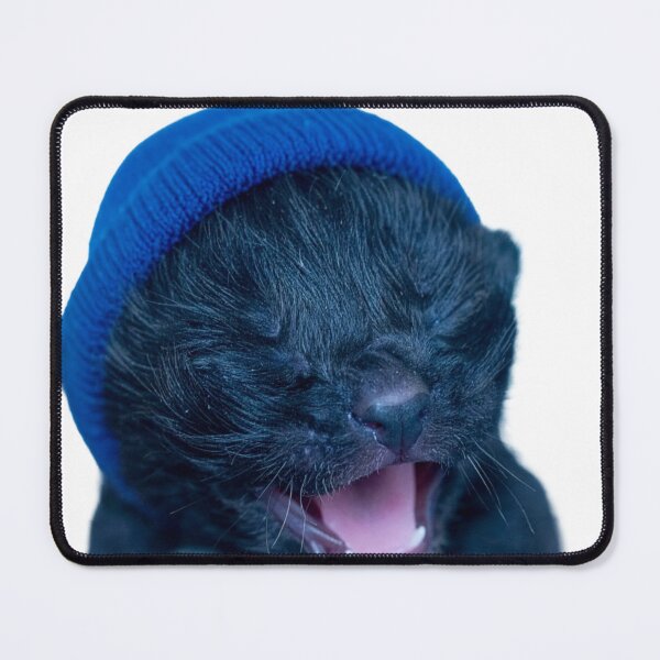 Item preview, Tiny Newborn Void Kitten Poster - Screaming Black Baby Cat Sticker - Hyper-Realistic Newborn Gremlin Portrait for Alt Aesthetics designed and sold by WildGentlemen.