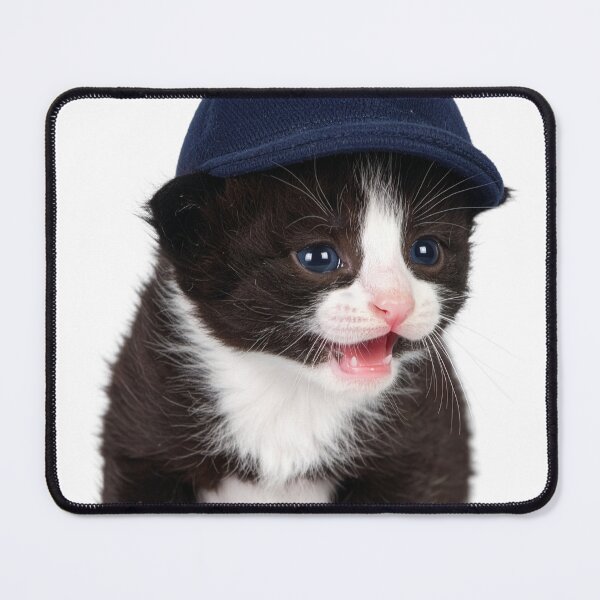 Item preview, Observant Kitten in Cap Poster - Focused Baby Cat Sticker - Attention-Grabbing Pet Graphic for Stationery and Office Decor designed and sold by WildGentlemen.