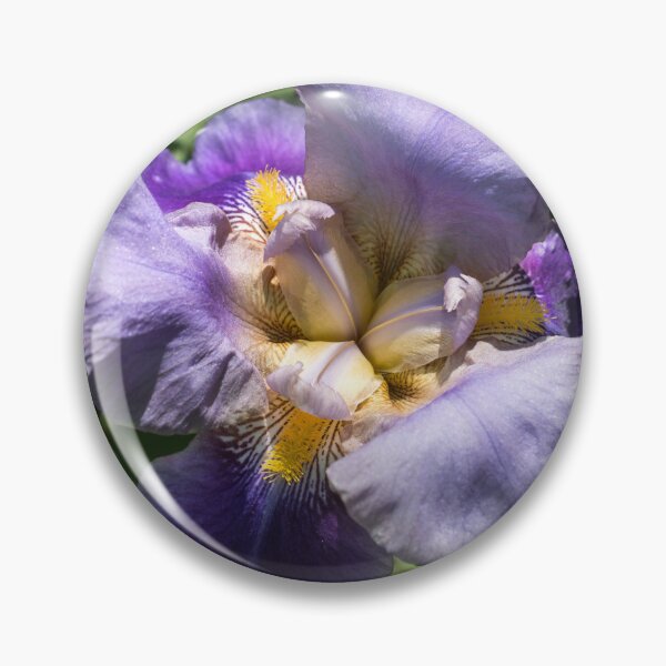 Item preview, Fully Opened Purple Iris in Bloom designed and sold by Georgia Mizuleva.