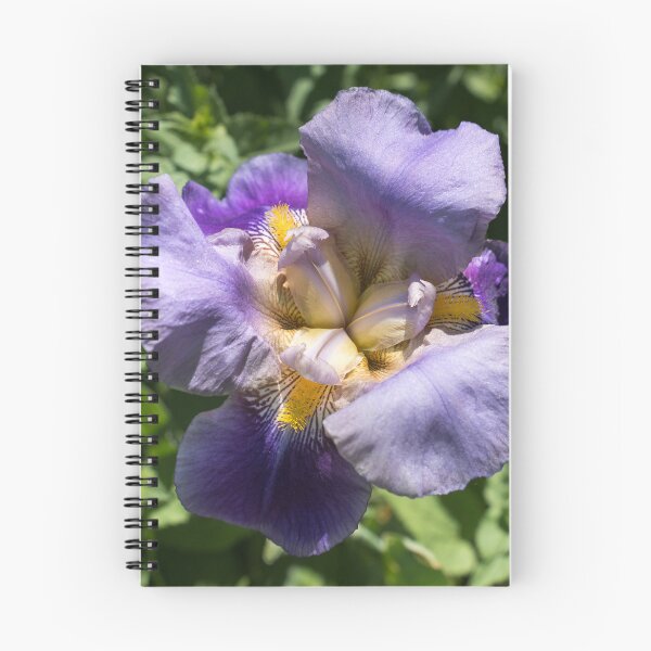 Item preview, Fully Opened Purple Iris in Bloom designed and sold by Georgia Mizuleva.