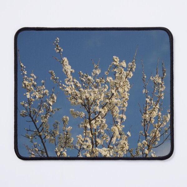 Item preview, Soft Enough designed and sold by Qual by Val P..