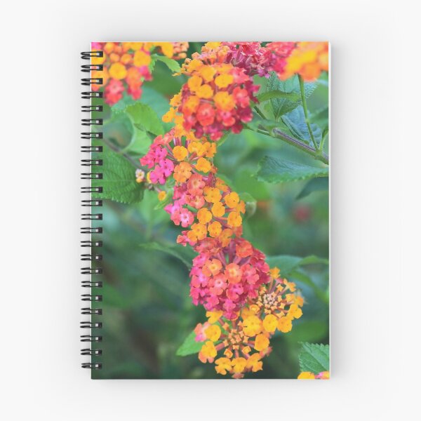 Item preview, flowers I designed and sold by Tereza Pilar  Art.
