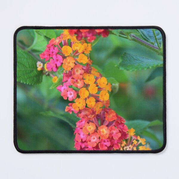 Item preview, flowers I designed and sold by Tereza Pilar  Art.