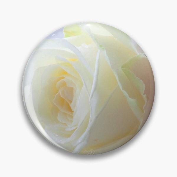 Item preview,  in the morning light. valentine's day designed and sold by Tereza Pilar  Art.