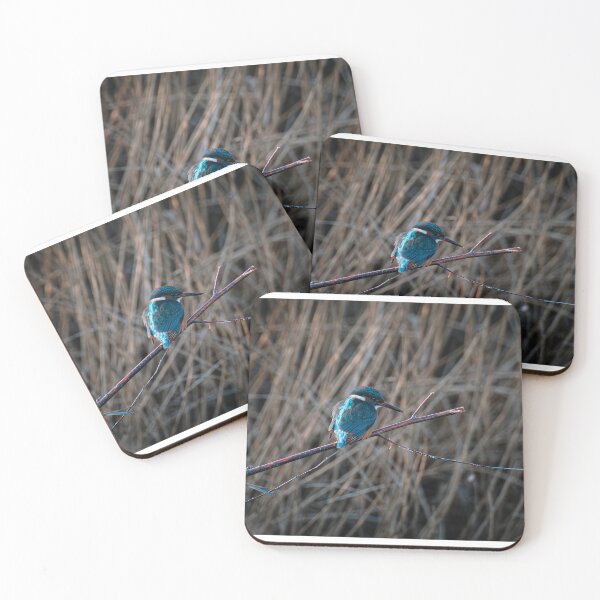 Item preview, Kingfisher (Alcedo atthis) perched on a branch designed and sold by Stephen Jarman.