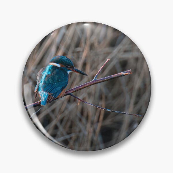 Item preview, Kingfisher (Alcedo atthis) perched on a branch designed and sold by Stephen Jarman.