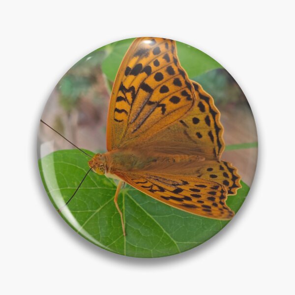 Item preview, Vibrant Orange Butterfly on Green Leaf - Macro Nature Photography designed and sold by Yondara.