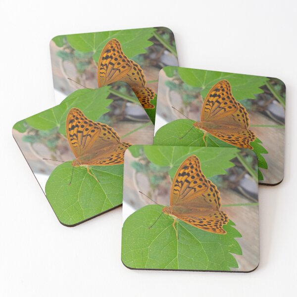 Item preview, Vibrant Orange Butterfly on Green Leaf - Macro Nature Photography designed and sold by Yondara.