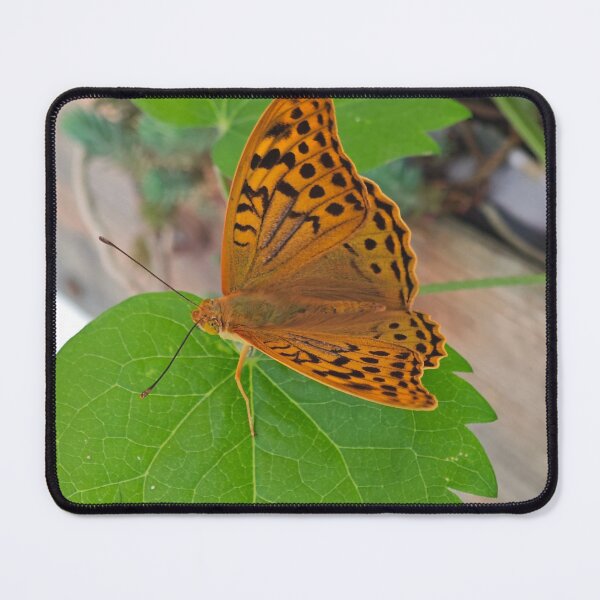Item preview, Vibrant Orange Butterfly on Green Leaf - Macro Nature Photography designed and sold by Yondara.