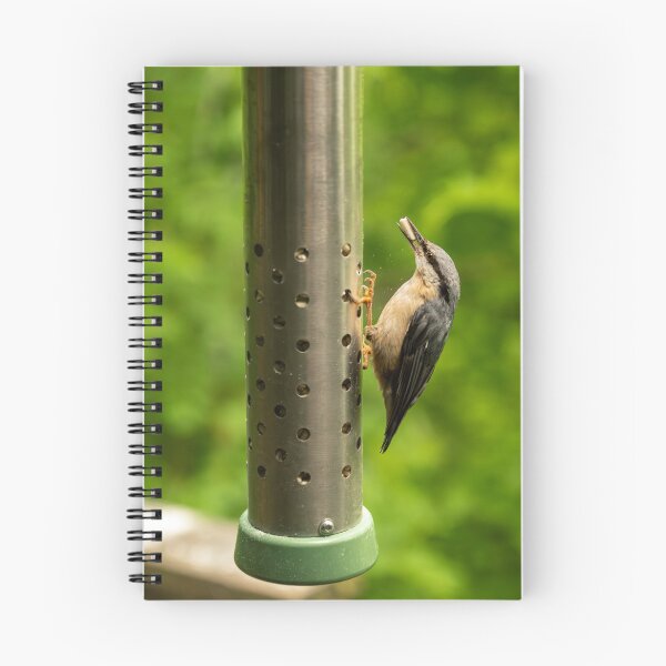 Item preview, Eurasian Nuthatch (Sitta europaea) taking food from a feeder designed and sold by Stephen Jarman.
