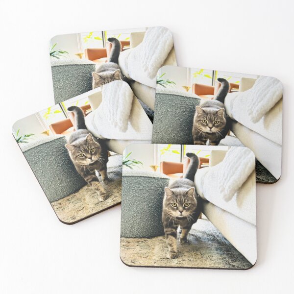 Item preview, Domestic Short Hair designed and sold by PurrfectionMeow.