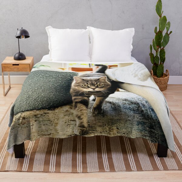 Item preview, Domestic Short Hair designed and sold by PurrfectionMeow.