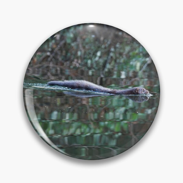 Item preview, American Mink (Neogale vison) gliding through the canal designed and sold by Stephen Jarman.