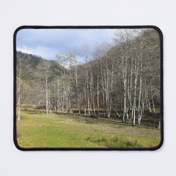 Item preview, Early Autumn by the River - Relaxing Nature designed and sold by MSMPrintDesign.