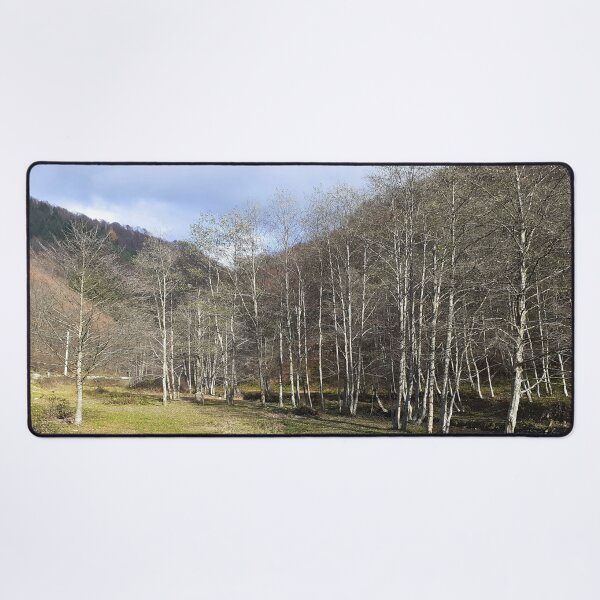 Item preview, Early Autumn by the River - Relaxing Nature designed and sold by MSMPrintDesign.
