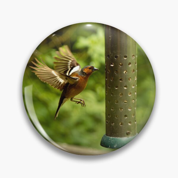 Item preview, Eurasian chaffinch (Fringilla coelebs) feeding designed and sold by Stephen Jarman.