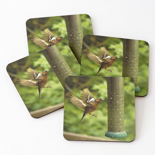 Item preview, Eurasian chaffinch (Fringilla coelebs) feeding designed and sold by Stephen Jarman.