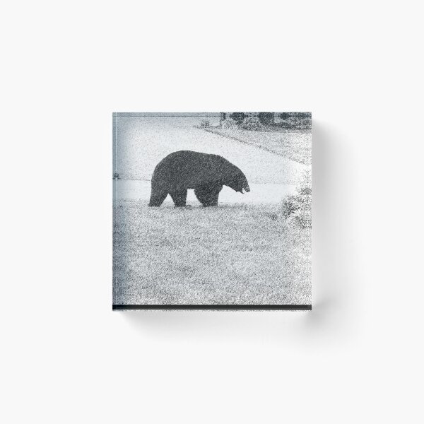 Item preview, Black Bear In the snow designed and sold by PopPucks.