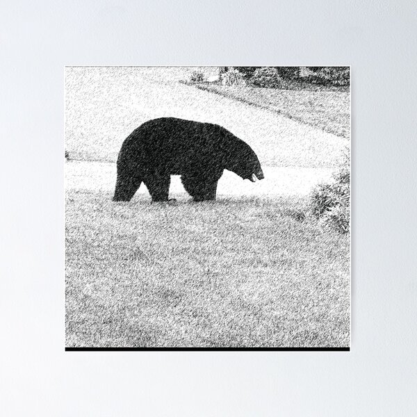 Item preview, Black Bear In the snow designed and sold by PopPucks.