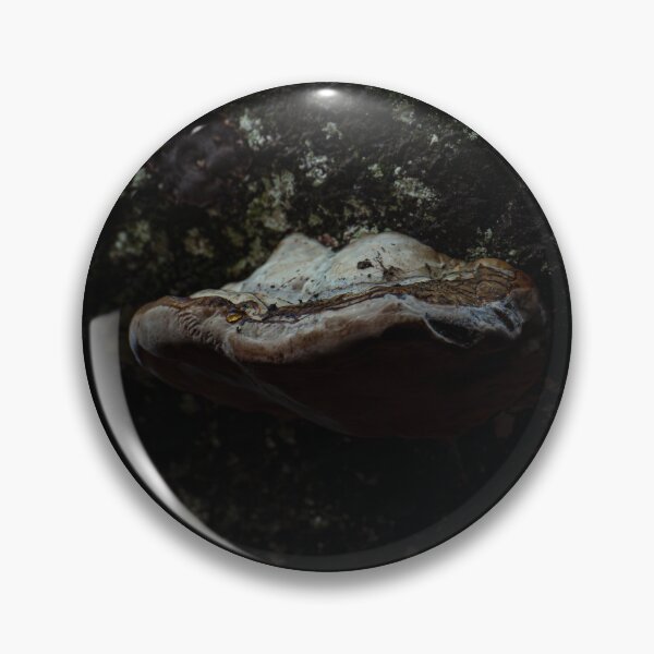 Item preview, Shelf Fungus on a wall designed and sold by Stephen Jarman.