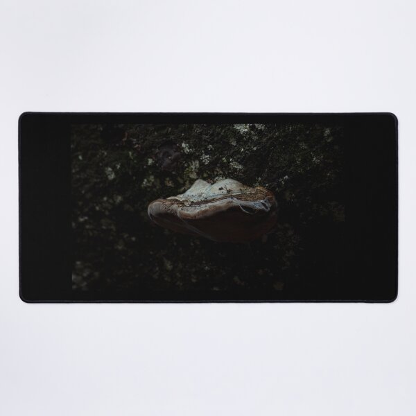 Item preview, Shelf Fungus on a wall designed and sold by Stephen Jarman.