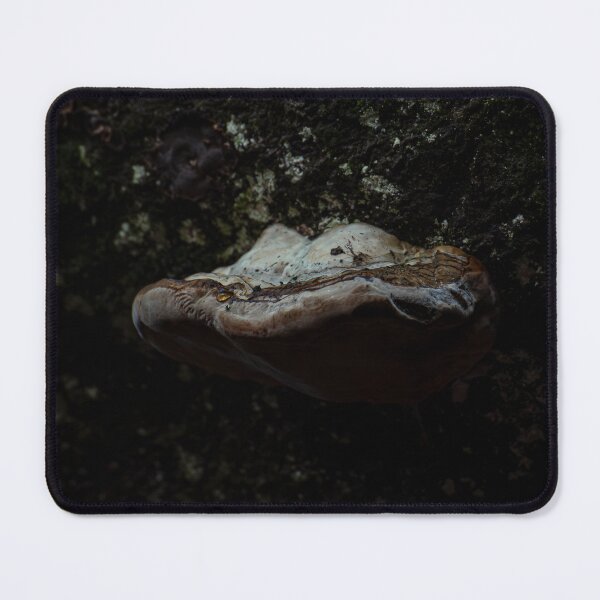 Item preview, Shelf Fungus on a wall designed and sold by Stephen Jarman.