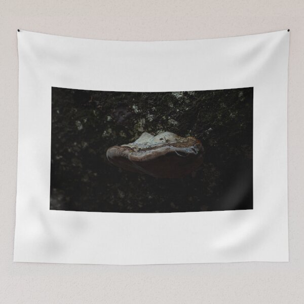 Item preview, Shelf Fungus on a wall designed and sold by Stephen Jarman.