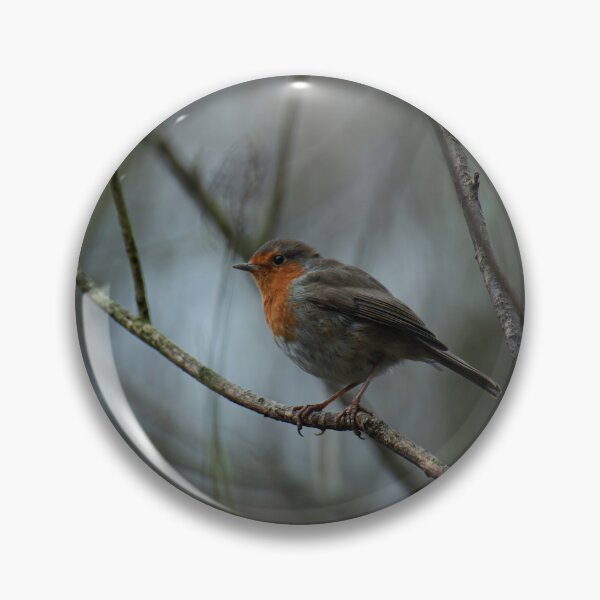 Item preview, European robin (Erithacus rubecula) perched on branch designed and sold by Stephen Jarman.