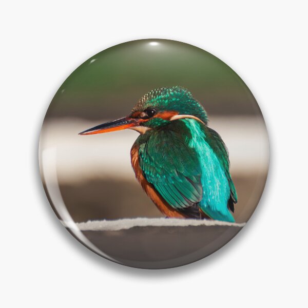 Item preview, Kingfisher (Alcedo atthis) sitting on edge of canal designed and sold by Stephen Jarman.