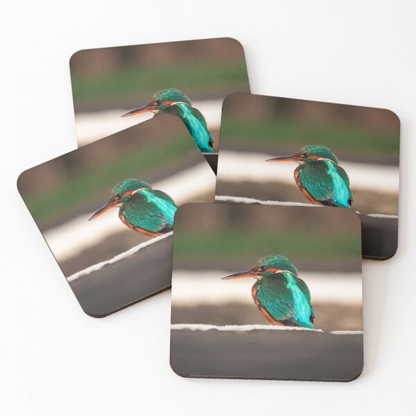 Item preview, Kingfisher (Alcedo atthis) sitting on edge of canal designed and sold by Stephen Jarman.