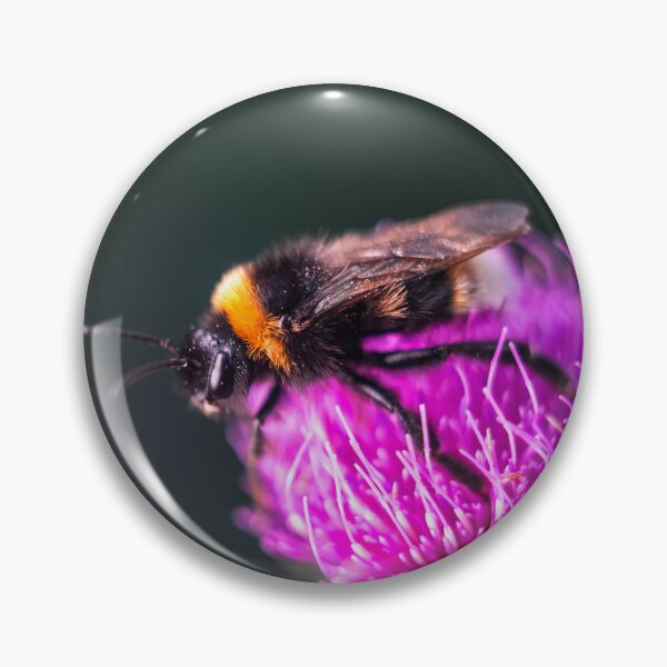 Item preview, Bumblebee on Purple Thistle Flower designed and sold by EllenNortt.