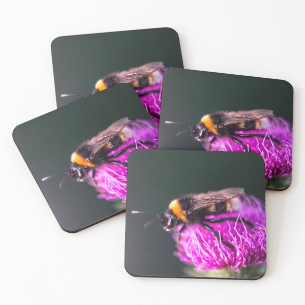 Item preview, Bumblebee on Purple Thistle Flower designed and sold by EllenNortt.