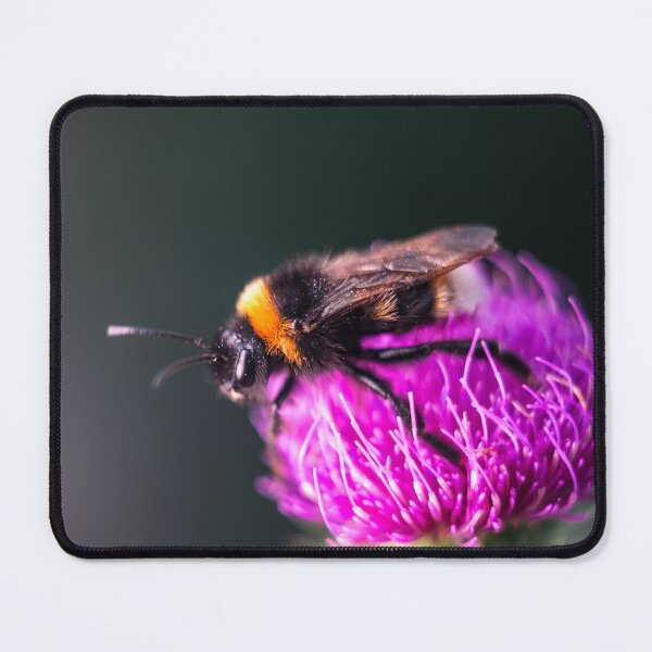 Item preview, Bumblebee on Purple Thistle Flower designed and sold by EllenNortt.