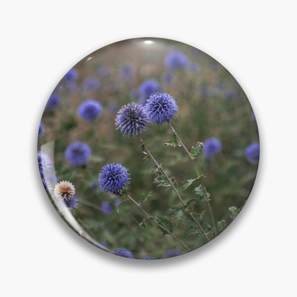 Item preview, Blue Globe Thistle Flowers in Field designed and sold by EllenNortt.