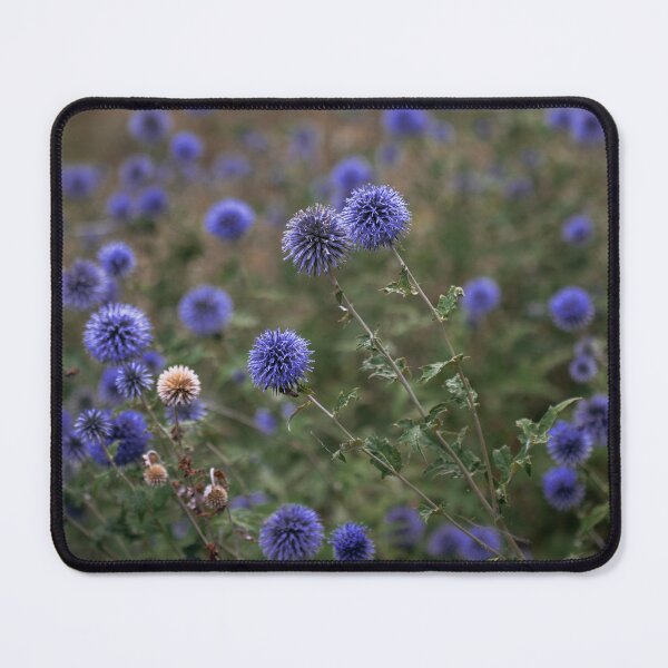 Item preview, Blue Globe Thistle Flowers in Field designed and sold by EllenNortt.