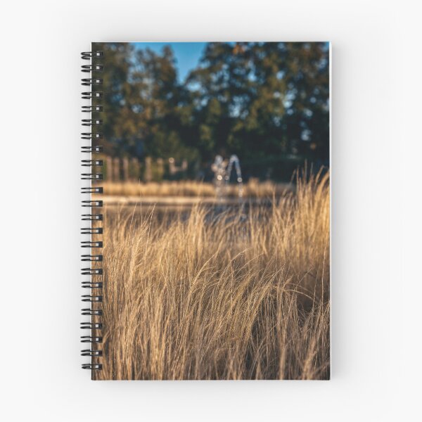 Item preview, Golden Grass in Park with Fountain designed and sold by EllenNortt.