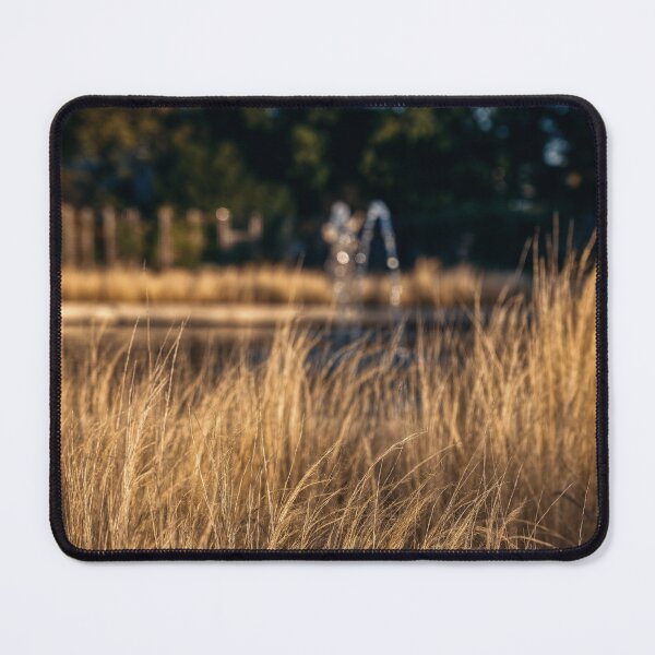 Item preview, Golden Grass in Park with Fountain designed and sold by EllenNortt.