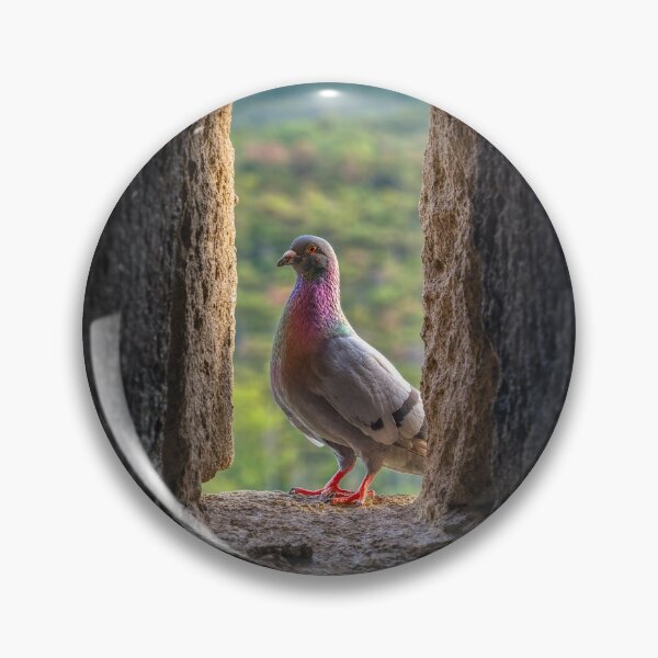 Item preview, Pigeon Perched in Castle Wall Arrowslit designed and sold by EllenNortt.